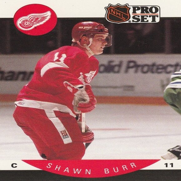 Shawn Burr Hockey Card Collection - Picture 4 of 6